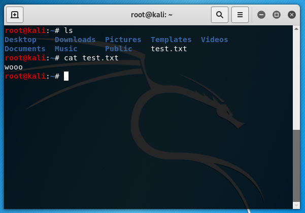 Kali file check